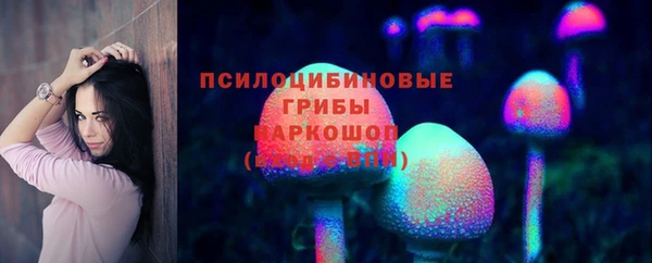 молекула духа Беломорск