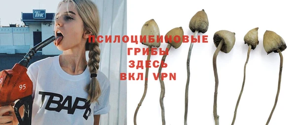 ГАЛЛЮЦИНОГЕННЫЕ ГРИБЫ Богданович
