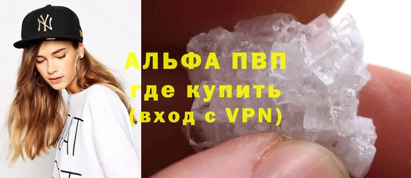 PSILOCYBIN Богородск