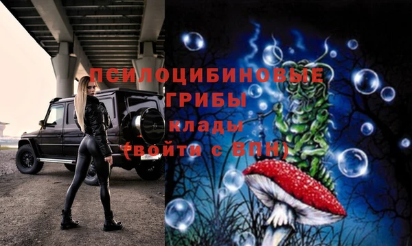 экстази Богородицк
