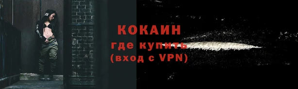 ГАЛЛЮЦИНОГЕННЫЕ ГРИБЫ Богданович
