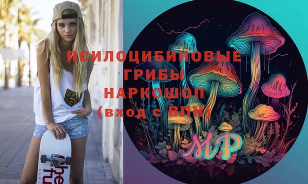 амф Белокуриха