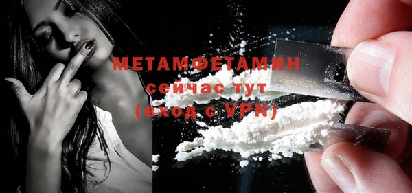 ГАЛЛЮЦИНОГЕННЫЕ ГРИБЫ Богданович