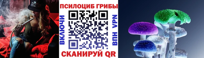 гидра онион Карачев Галлюциногенные грибы Cubensis